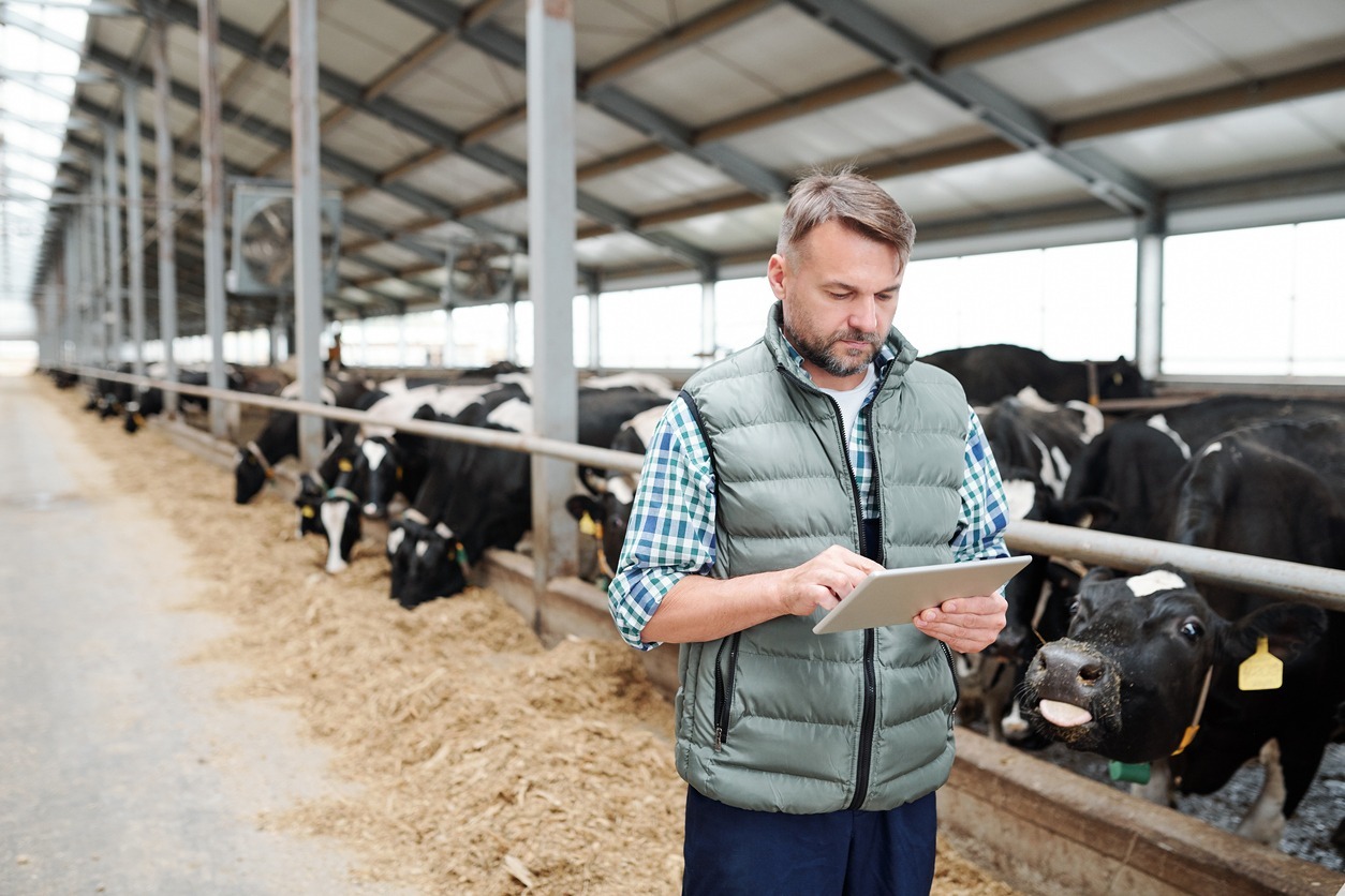 Mature-male-worker-of-contemporary-animal-farm-using-digital-tablet