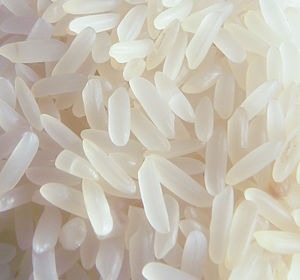 Rice-white-long-grain-regular-unenriched-cooked-without-salt