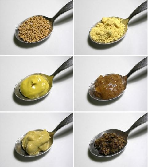 Types-of-Mustard