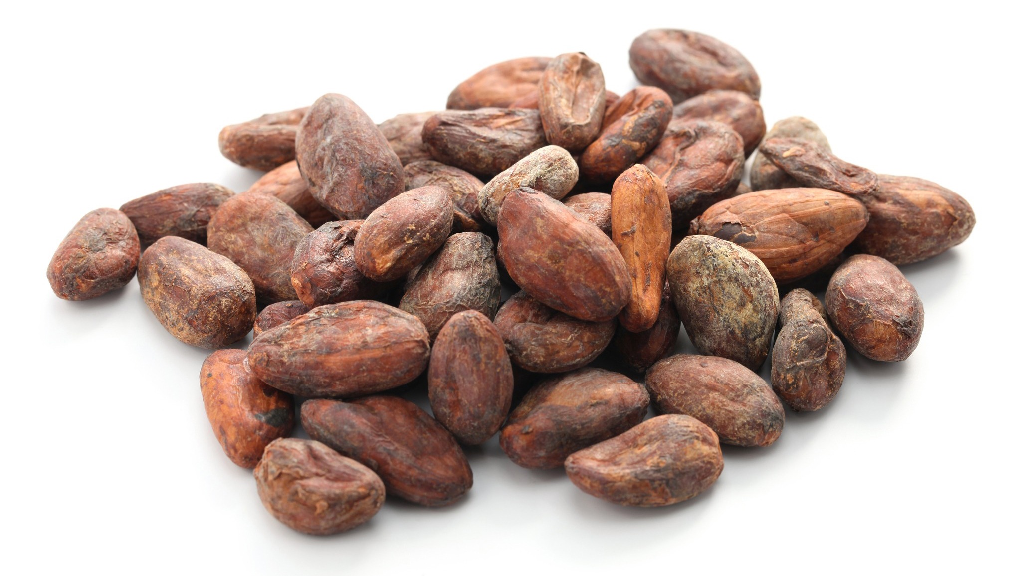 raw-cacao-cocoa-beans-on-white-background